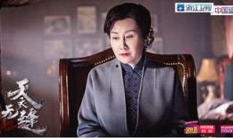 天衣无缝在线观看,揭秘剧情高潮迭起的悬疑巨制